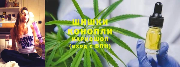 ПСИЛОЦИБИНОВЫЕ ГРИБЫ Балабаново