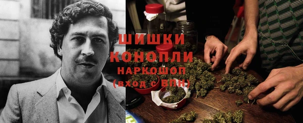 СК Балахна