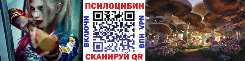 OMG рабочий сайт  Буинск  Галлюциногенные грибы Magic Shrooms 